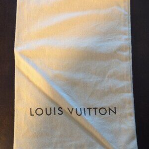 Louis Vuitton Carry Bag